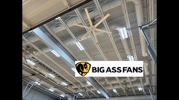 Big @$$ Fans Basic 6 Ceiling Fans (2023 Remake)
