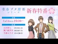 アニメ「青春ブタ野郎」シリーズ新春特番