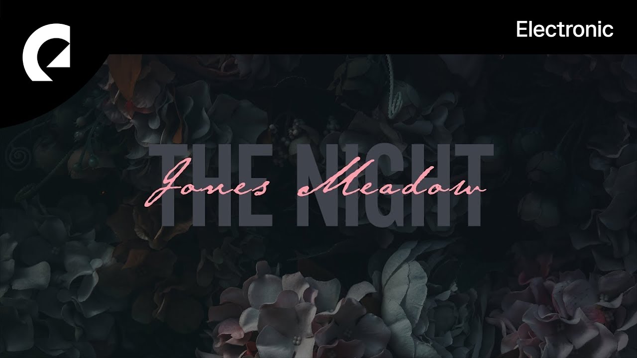 Jones Meadow - The Night epidemic intelligence service