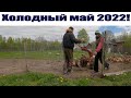 Плантация капусты в 40 метров и дела деревенские в холодный май 2022...!