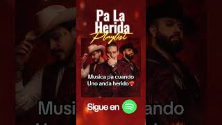 Pa La Herida Playlist #musica #dolidas #playlist