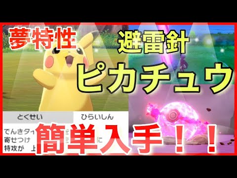 夢特性ピカチュウの捕まえ方 ポケモン剣盾 Youtube