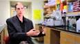 The Surprising Role of the Human Microbiome in Our Health ile ilgili video