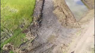 Download lagu DRONE WORKS | CHÓKWÈ, MOZAMBIQUE