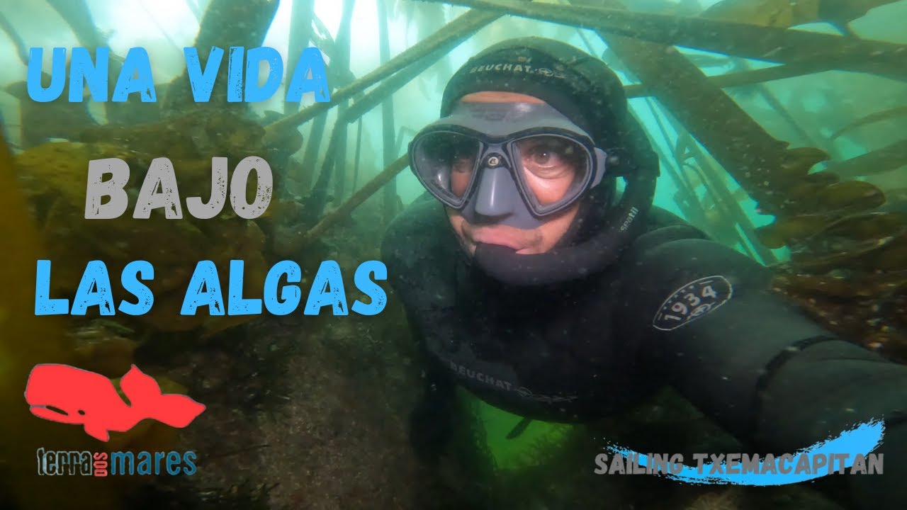 UNA VIDA BAJO LAS ALGAS