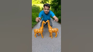 Remote Control 2 Giraffes Toy Unboxing 😍