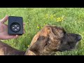 Ultrasonic Dog Bark Deterrent