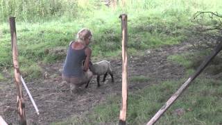 Farm2Fork-www.dai4films.com