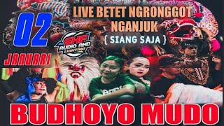 Live Jaranan BUDHOYO MUDO Betet Ngronggot ft SHF Audio