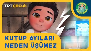 ASLAN'IN DENEY ODASI I KUTUP AYILARI NEDEN ÜŞÜMEZ