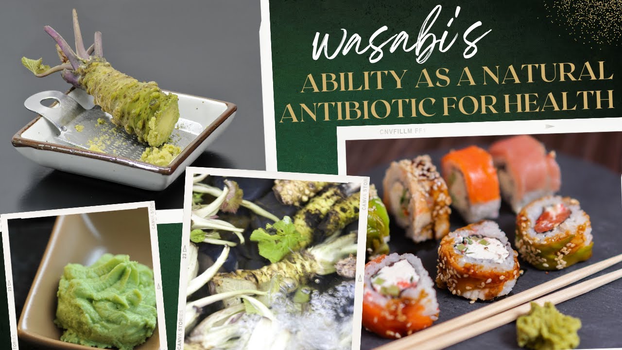 Explore Food Facts About Benefits Health Wasabi This Fun YouTube