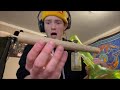 10 gram joint solo hotbox 10k subs special