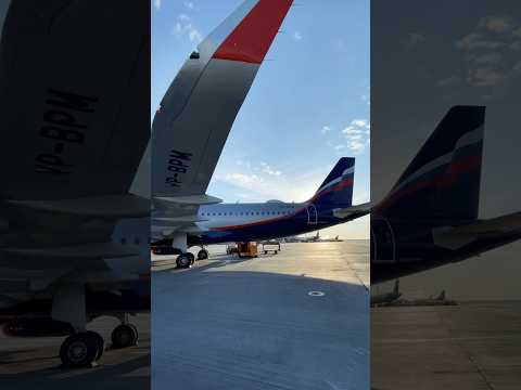 Посадка в самолет #аэрофлот #a320 #shorts #шереметьево