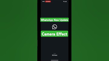 Allow camera effect in whatsapp/whatsapp camera effects