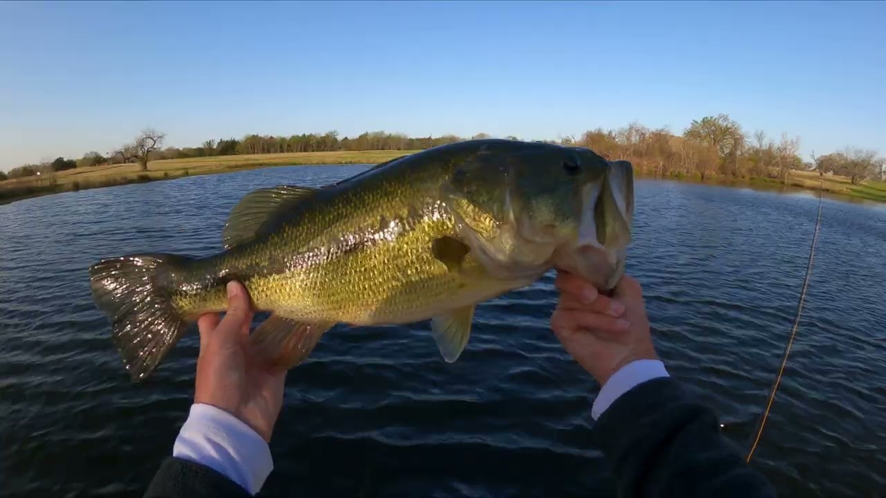 Big Bass On the Fly!!!