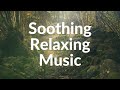 Relaxing Music   Nature