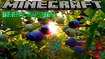 BERRY BUSHES - MINECRAFT 1.15.2 (MOD SHOWCASE)