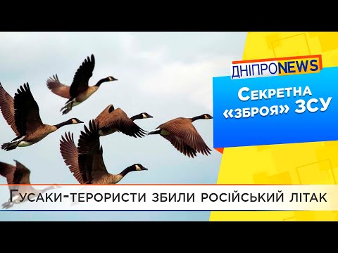 Викликайте санітарів: росіяни бояться птахів з України