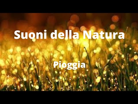 Suoni della Natura - Pioggia - YouTube