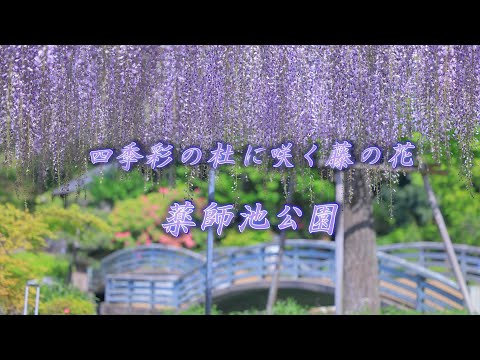 関東周辺四季の花巡り 関東周辺 四季の花巡り―花の絶景地400ヶ所収録 (旅の森