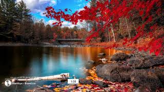 Dreambye — BraveLion