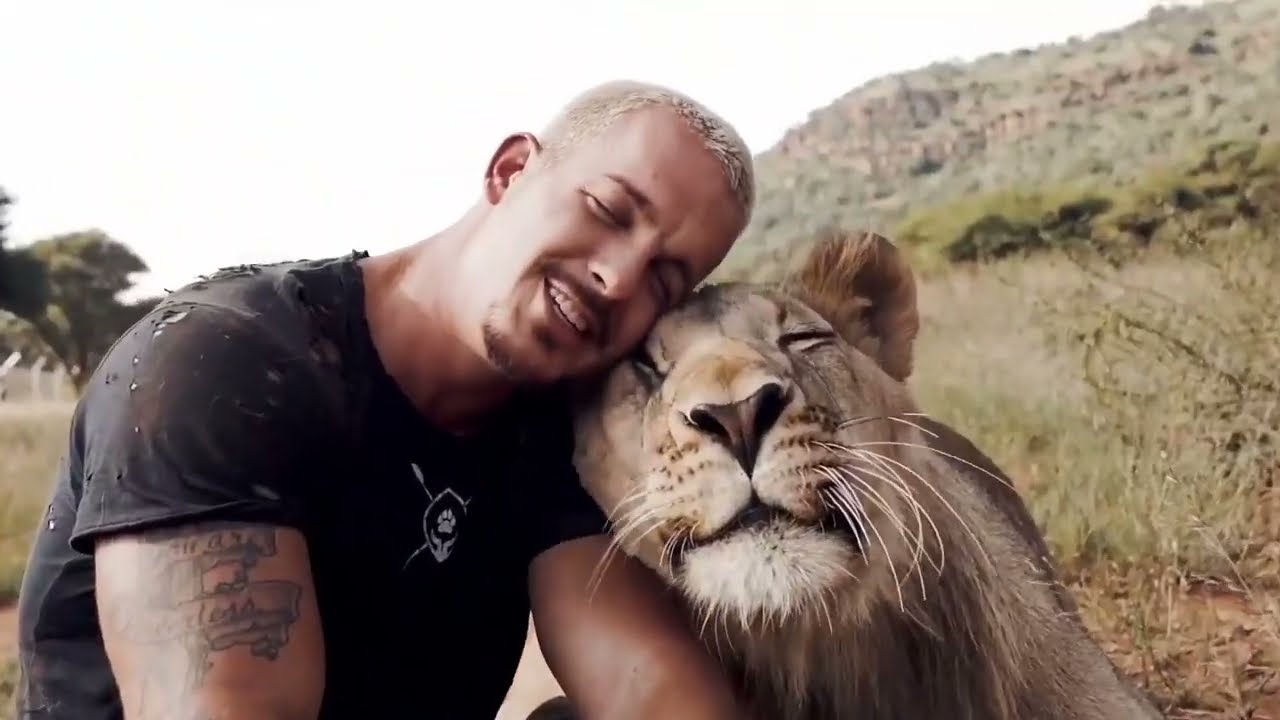 top 5 dangerous animals in the world || tigers vs buffalo , real fight , animal fight