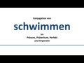 SCHWIMMEN - to swim - يسبح - Konjugation deutscher Verben/Conjugation of German verbs