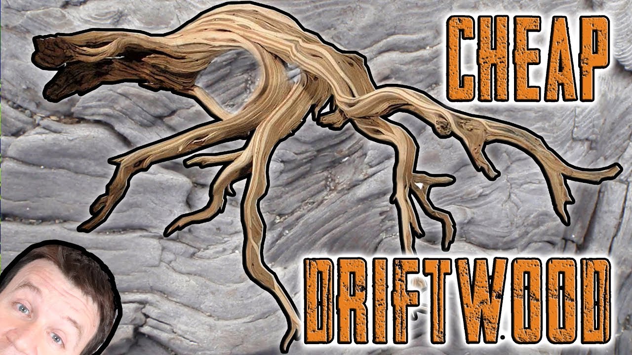 Super Cheap Driftwood 3 Pieces 7.49 Ebay Is it Worth it? YouTube