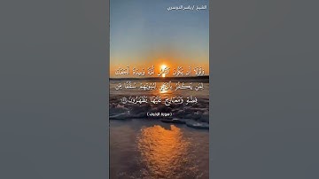سورة الزخرف من آية 33 إلى آية 35 بصوت الشيخ ياسر الدوسري♥♥