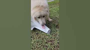 How-To Clean a Washer - Speed Queen TR7