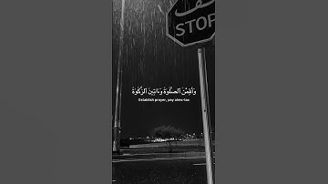 ﴿وقرن في بيوتكن ولا تبرجن تبرج الجاهلية الأولى﴾  سورة الأحزاب #ارح_قلبك #ارح_سمعك #قران_كريم #قرآن