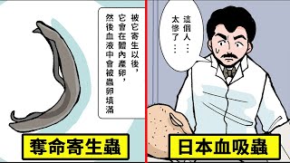 把最糟糕的殺人寄生蟲...日本血吸蟲畫成了漫畫