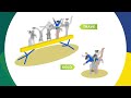 Conheça a HISTÓRIA e as REGRAS da Ginástica Artística I ABC Olímpico: