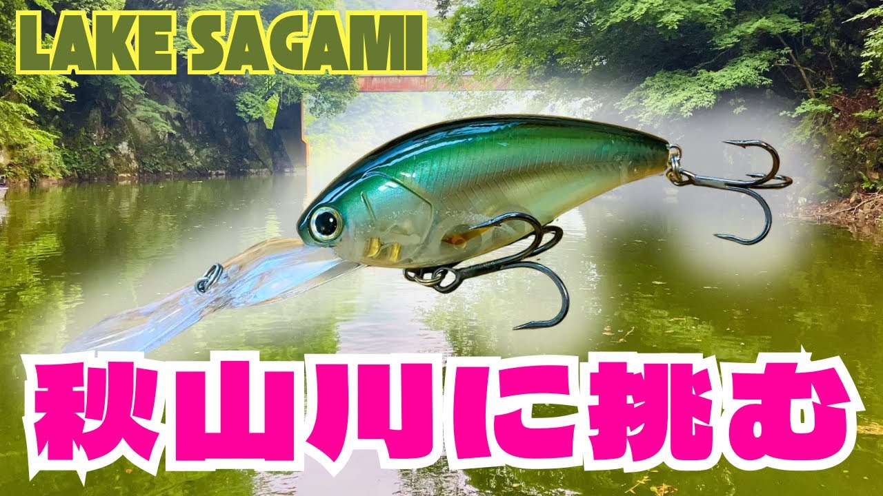 【相模湖】難所・秋山川の橋脚にディープクランクを通すと…【ショットオーバー５】