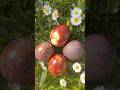 #easteregg #wow #beautiful #colors #reels #shorts