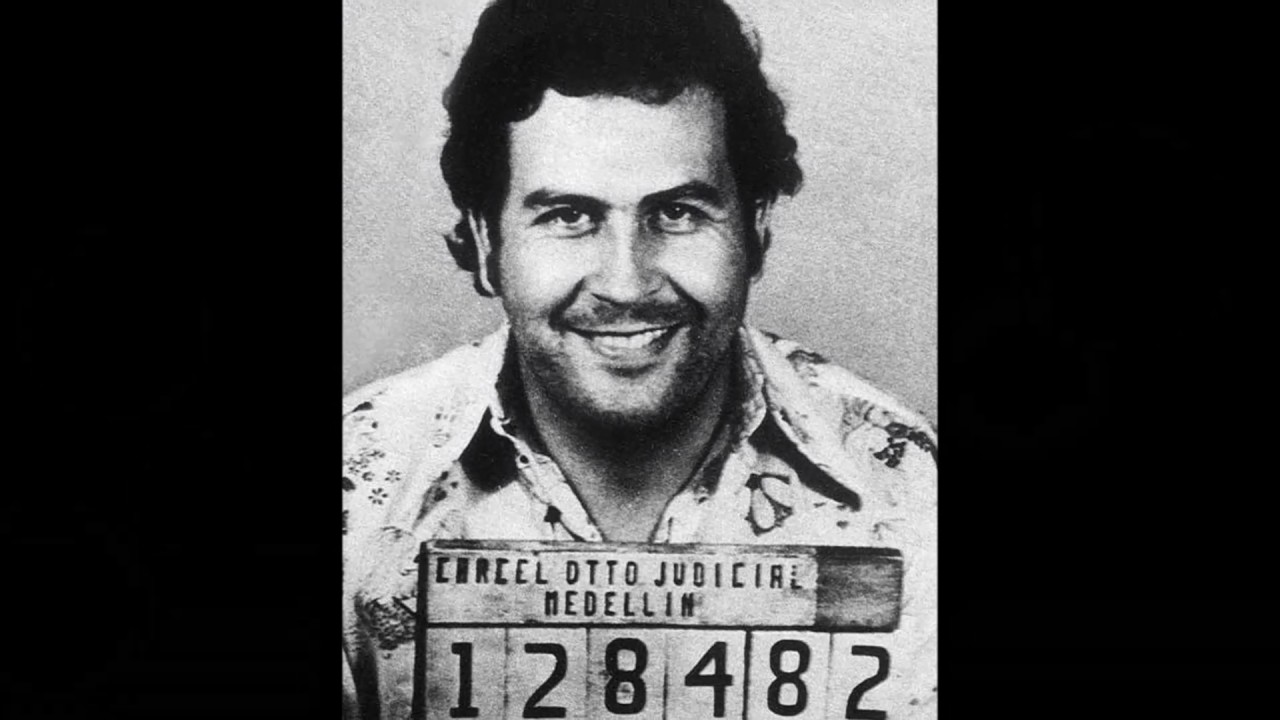 Buccaneer Book Trailer 2017