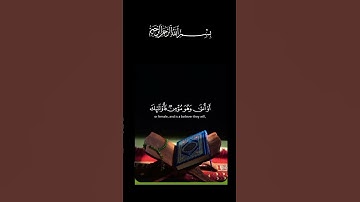 القرآن الكريم _أجر لي ولكم _أرح سمعك وقلبك _أكتب شيء تؤجر عليه #🌹🦋🤍