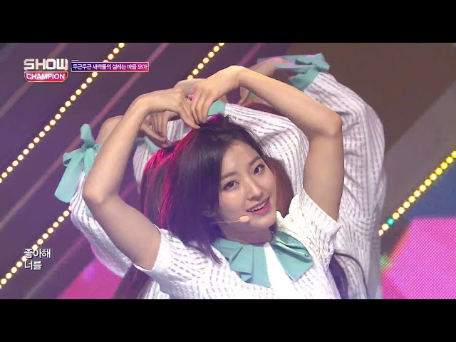 Show Champion EP.274 fromis_9 - DKDK - YouTube