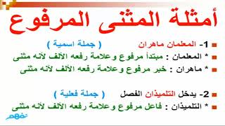 المثنى - نحو | اللغة العربية | للصف الخامس الابتدائي | الترم الثاني | المنهج المصري | نفهم