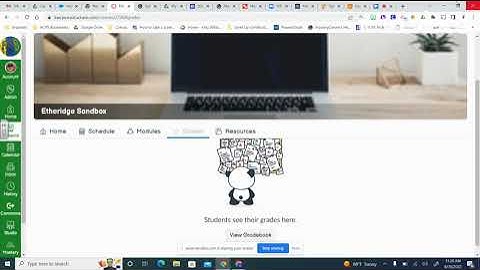 Google Classroom vs. Canvas