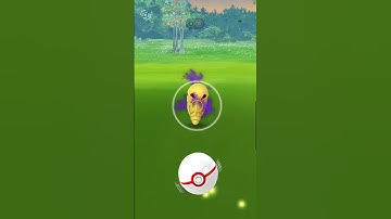 How to Beat Team Rocket Go Bug Type Grunts | Shadow Kakuna Encounter