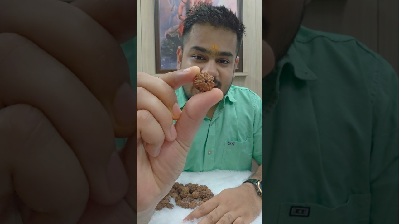 7 Mukhi Rudraksha ✨️✨️✨️✨️✨️.         Astrology Saphere 🌱 9970512498