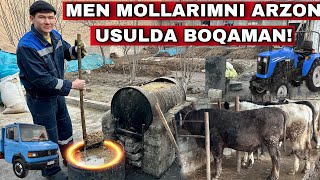 : Mol Boqishdan Foyda Yoq Deganlar Korsin Buni! Arzon usulda mol boqish siri #2024 #molboqish #mol