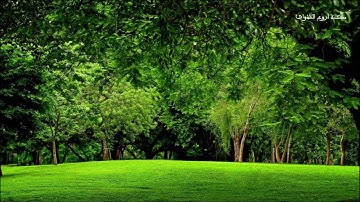 سورة الكهف بتلاوة هادئة للقارئ أحمد العبيد
