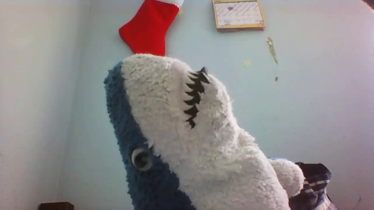 Pickles is sick! YouTube