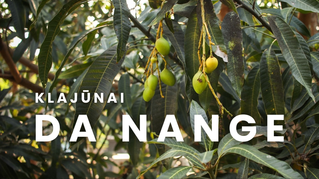 IR VĖL DA NANGE | NESIBAIGIANTIS CHAOSAS IR SAUNA