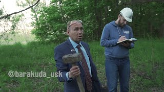 Виталий Наливкин остановил вырубку леса