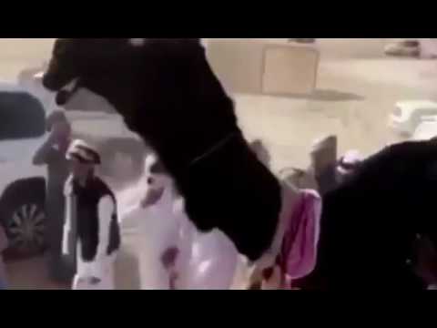 الشيخة شيخة المناصير 