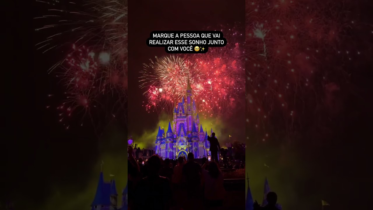 Manda pra pessoa que vai visitar a Disney com você