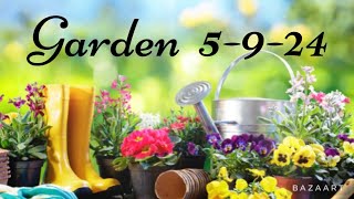Garden  Update 5 924  #gardening #garden #hobby #newvideo